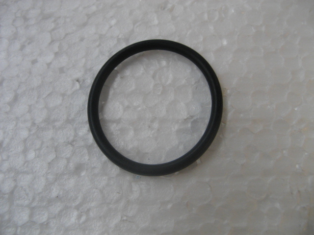 100748A1 - O-RING