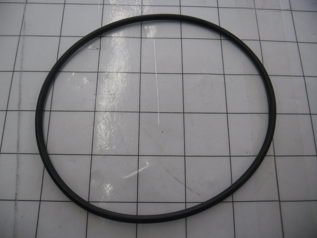 154721A1 - O-RING