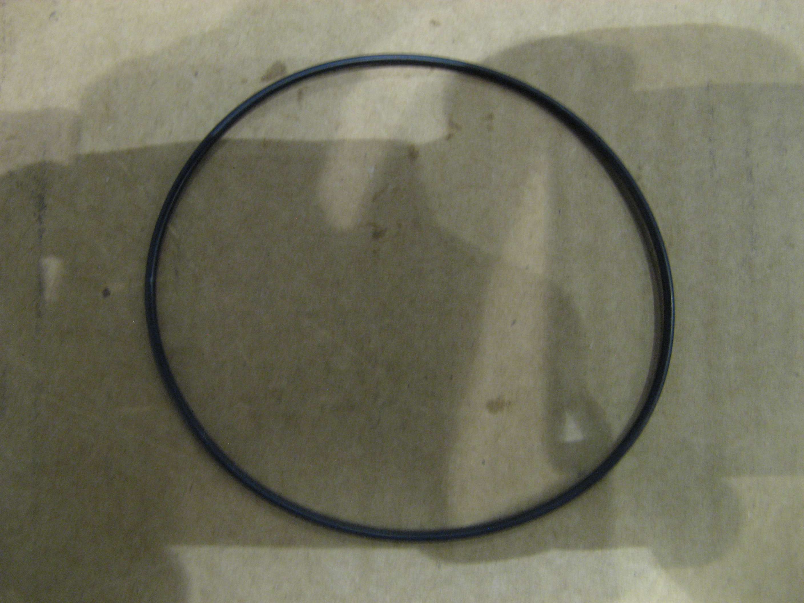 310824A1 - O-RING