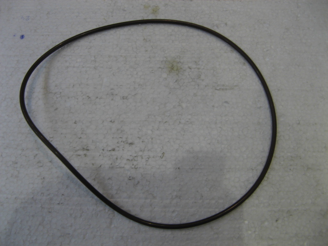 371144A1 - O-RING