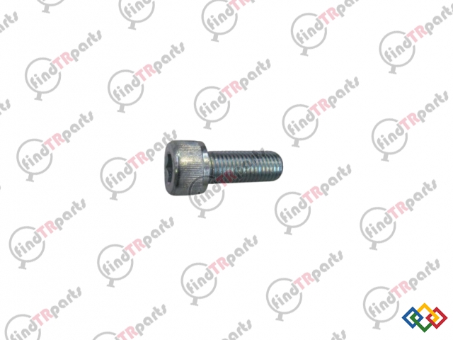 14307421 - VİDAM10 x 1 25 x 25mm Cl 8 8